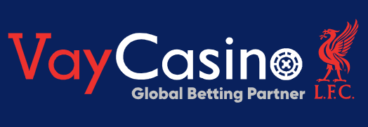 Vaycasino logo